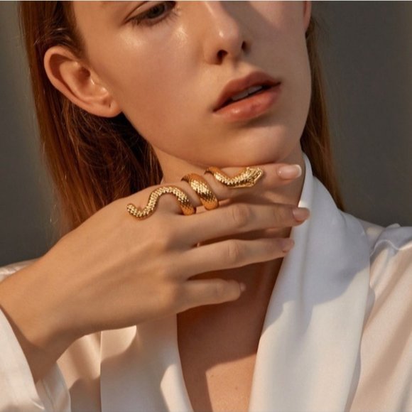 Snake Ring Set Punk Gothic Retro Jewelry Boho Bronze Gypsy Metallic Grunge New - Picture 2 of 9